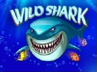 Wild Shark